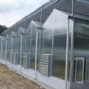 Venlo Solar Panel Greenhouse